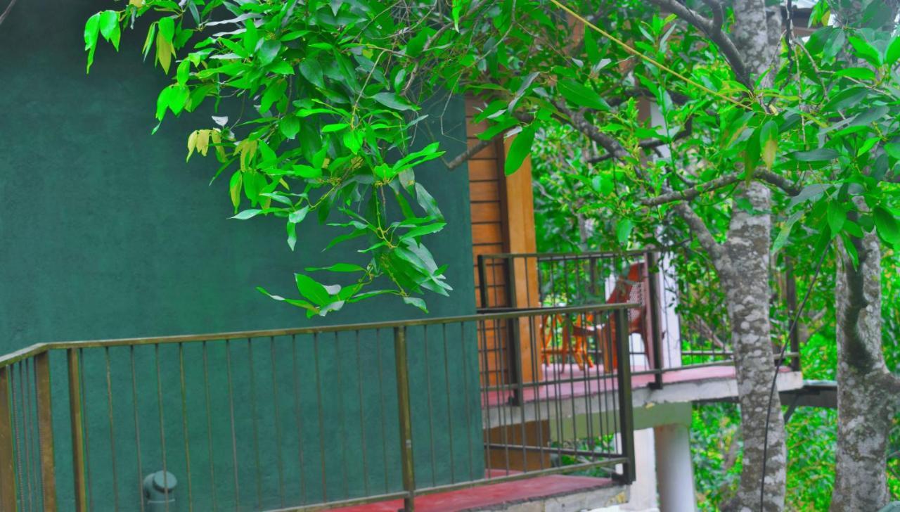 Green Cottage Элла Экстерьер фото